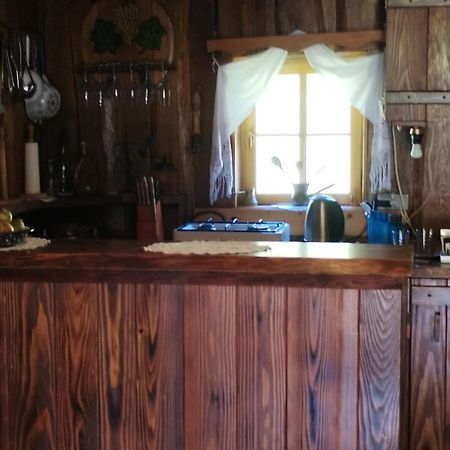 Vacation House Spiritus Flumine Netretic Exterior foto